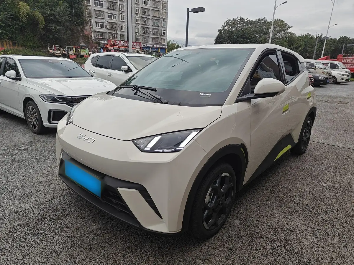 2025 BYD Seagull BEV 30.08KWH