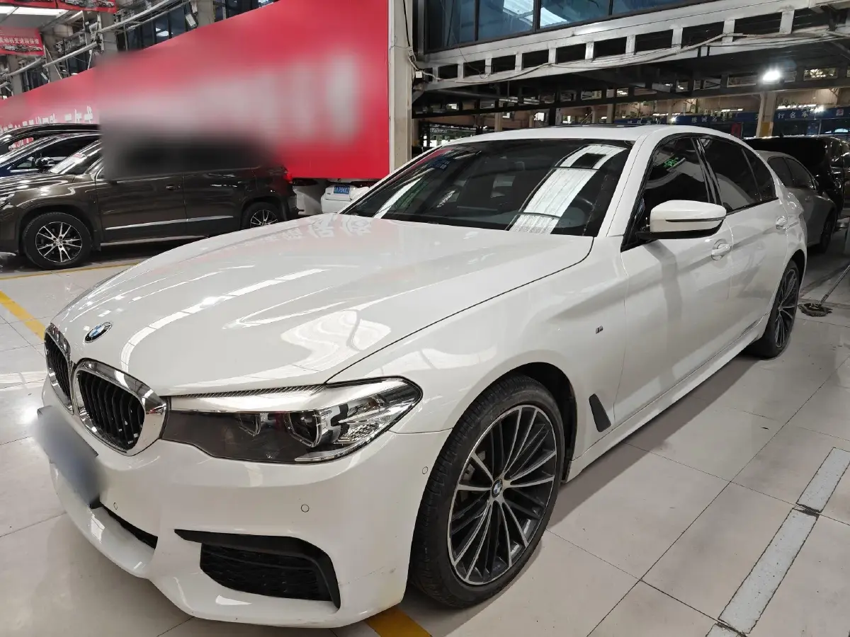 2019 BMW 5 Series 2.0T 252HP L4 8AT