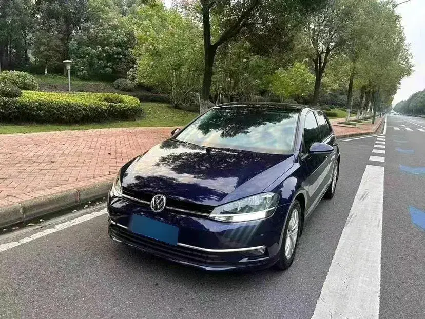 2019 Volkswagen Golf 1.6L 110HP L4 6AT