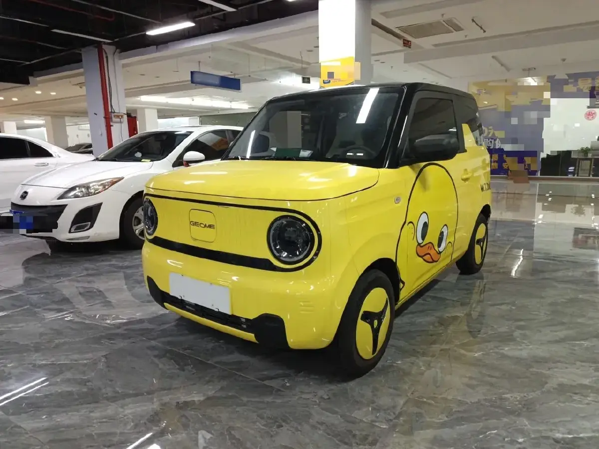 2023 Geely Panda BEV 17.03KWH