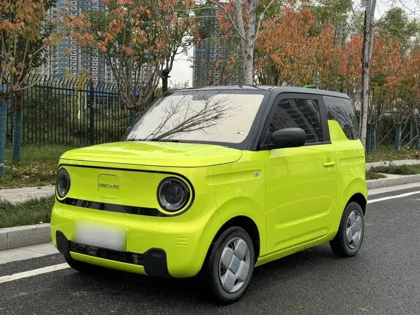 2023 Geely Panda BEV 17.03KWH