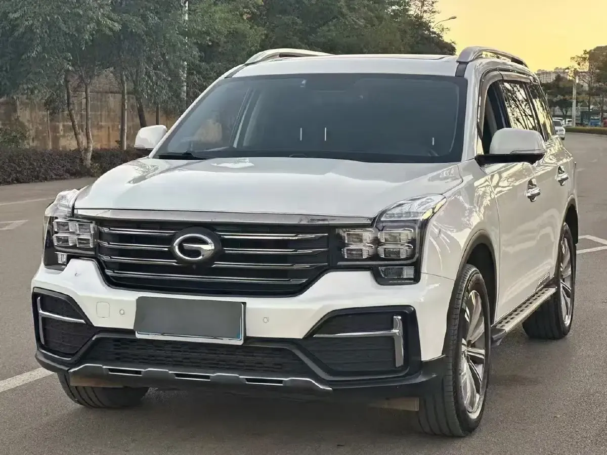2020 GAC Trumpchi GS8 2.0T 252HP L4 6AT
