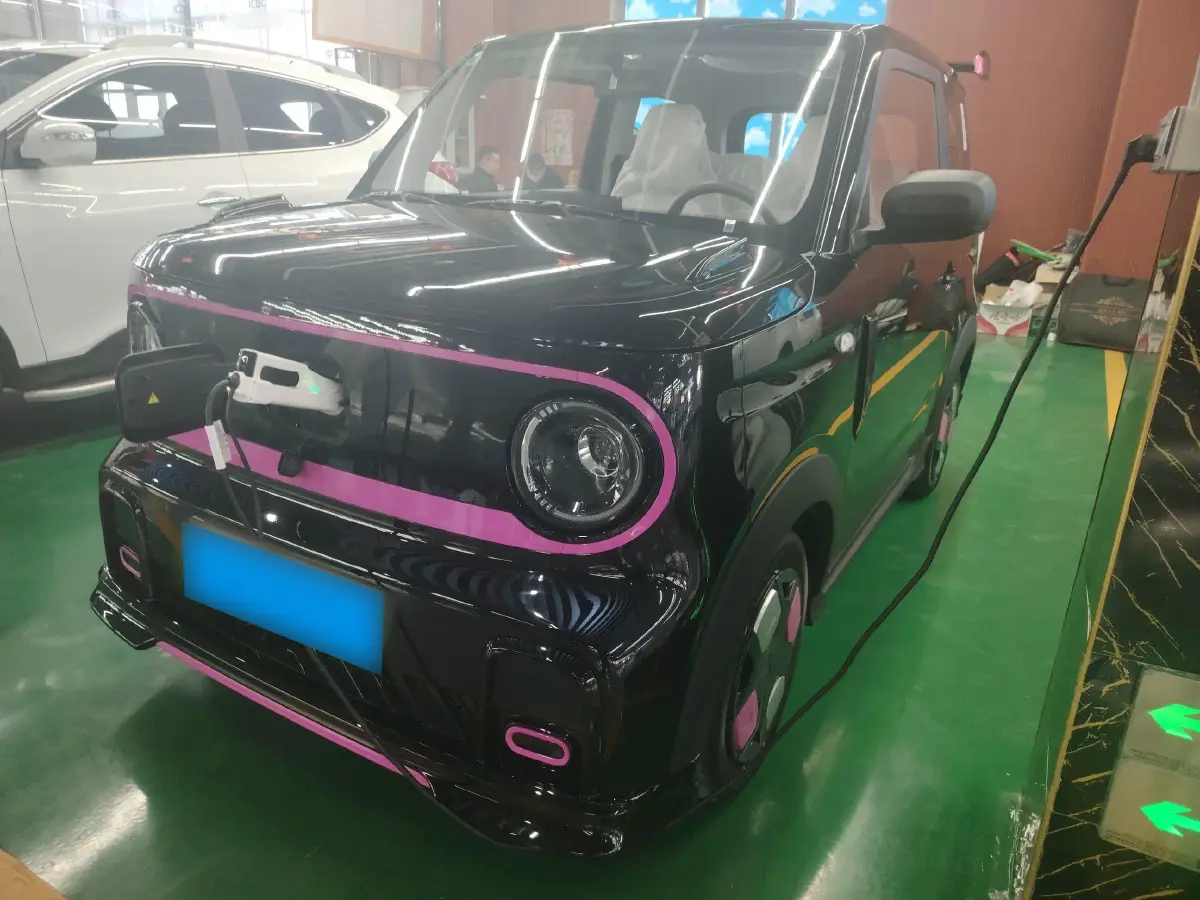 2025 Geely Panda BEV 17.03KWH