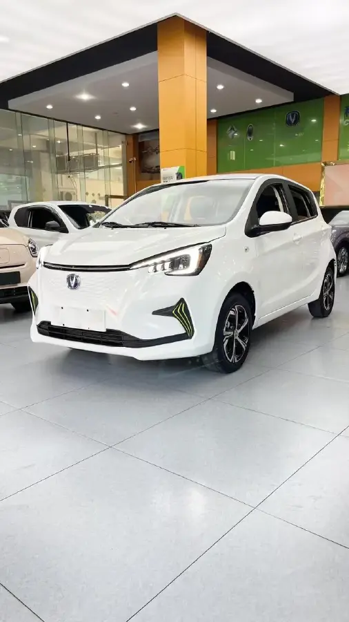 2023 ChangAn BenBen E-Star BEV 31.18KWH