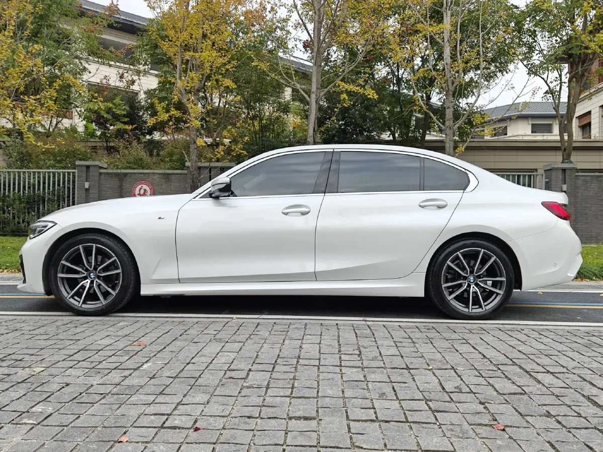 2020 BMW 3 Series 2.0T 184HP L4 8AT,autocango,china used car exporter,china ev exporter,chinese used car exporter,chinese used ev exporter