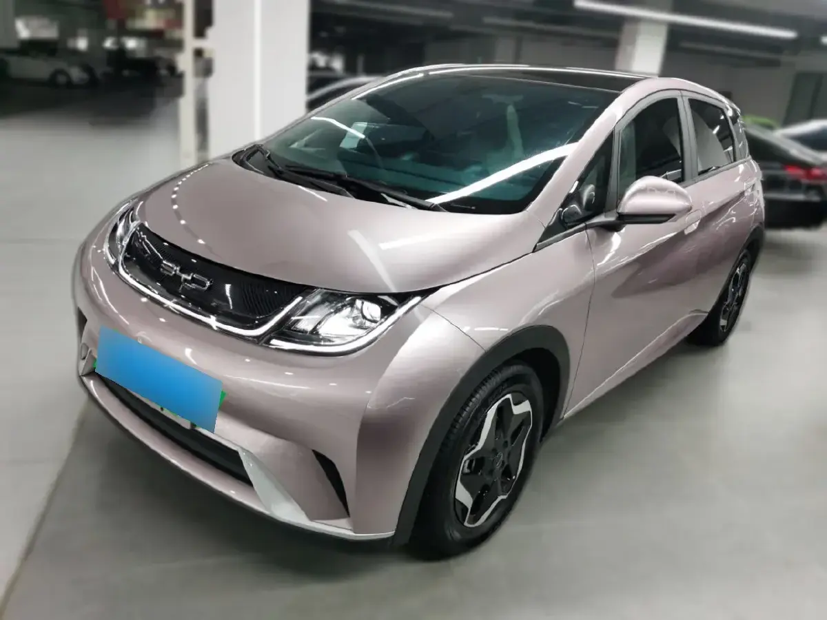 2021 BYD Dolphin BEV 44.9KWH