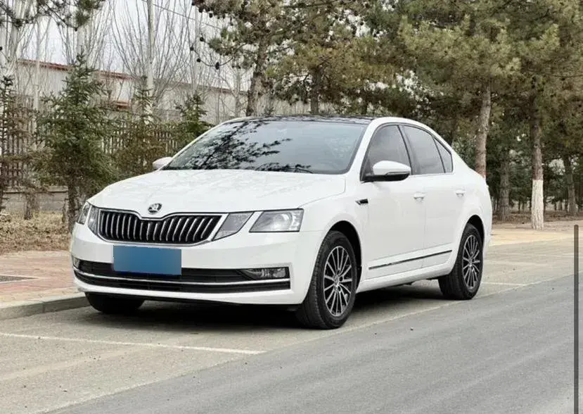 2019 Skoda Octavia 1.2T 116HP L4 7DCT