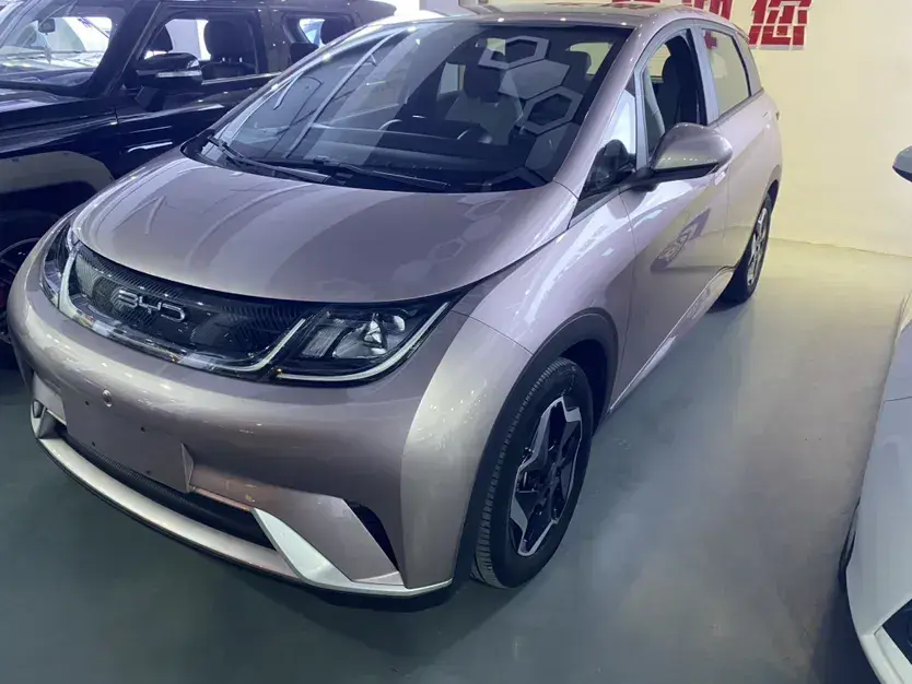 2021 BYD Dolphin BEV 44.9KWH