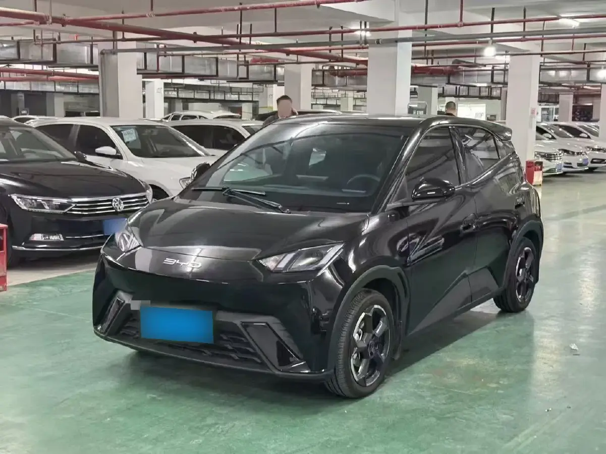2025 BYD Seagull BEV 30.08KWH