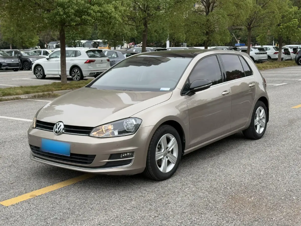 2017 Volkswagen Golf 1.6L 110HP L4 6AT