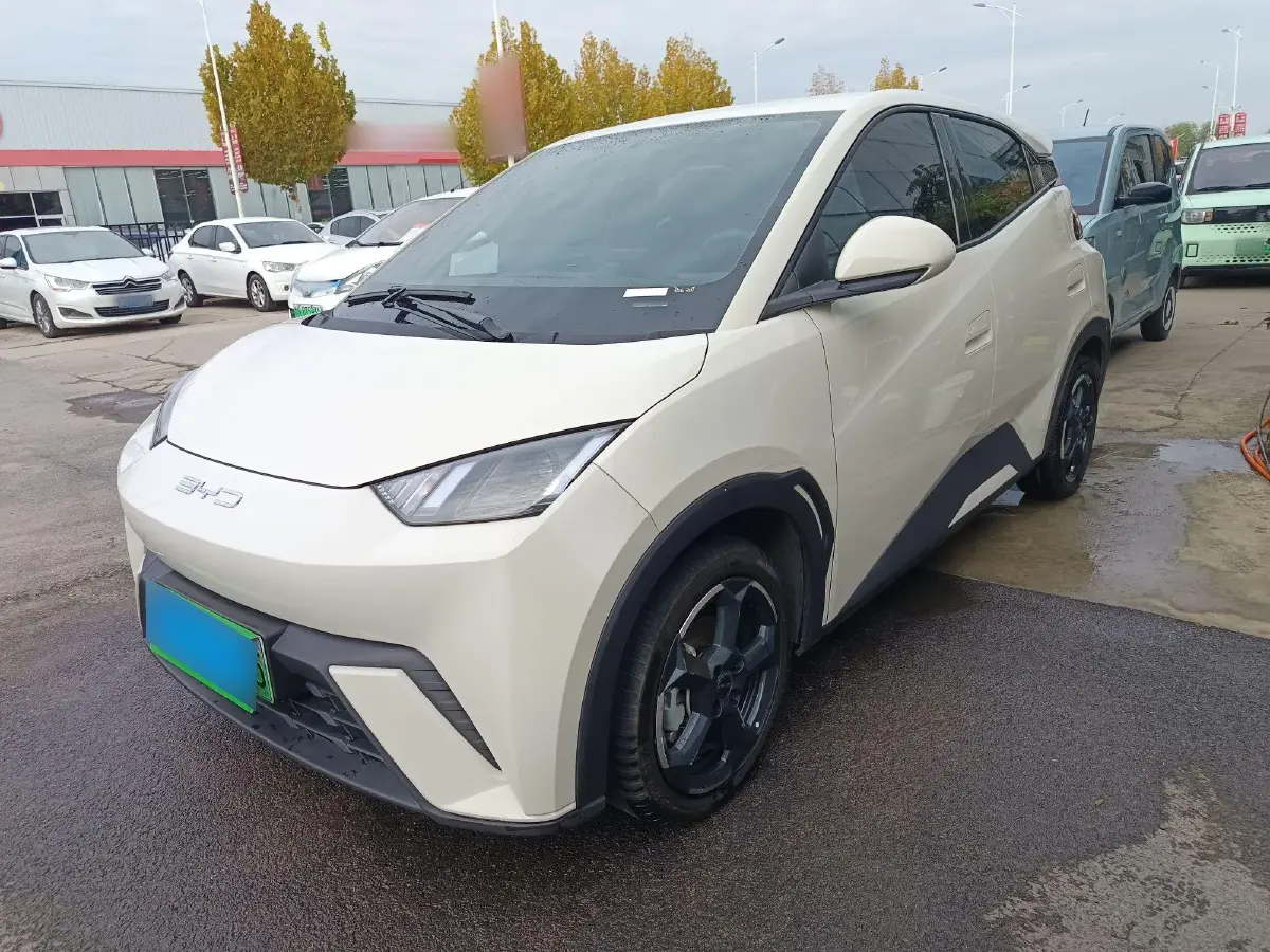 2023 BYD Seagull BEV 30.08KWH