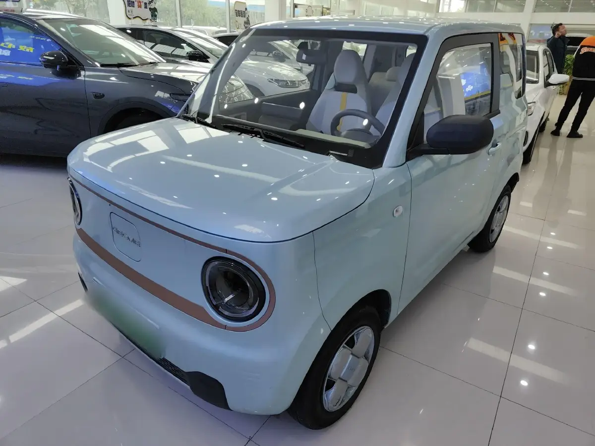 2024 Geely Panda BEV 17.03KWH