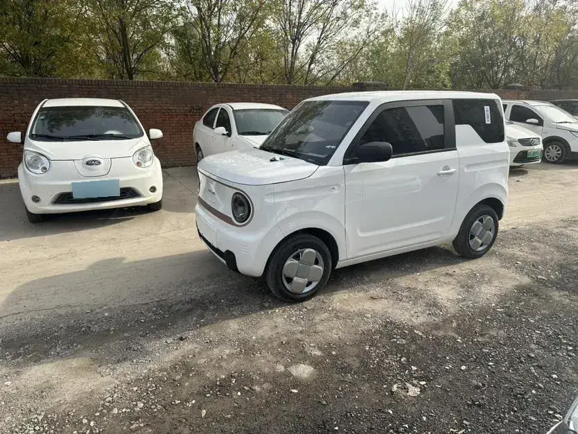 2024 Geely Panda BEV 17.03KWH
