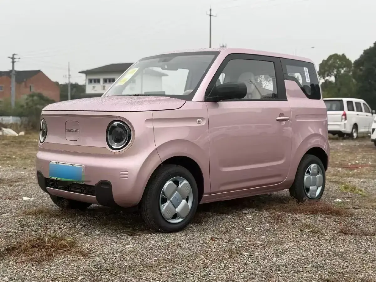 2024 Geely Panda BEV 17.03KWH