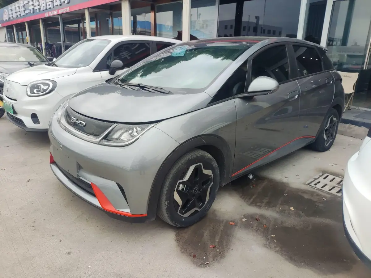 2021 BYD Dolphin BEV 44.9KWH