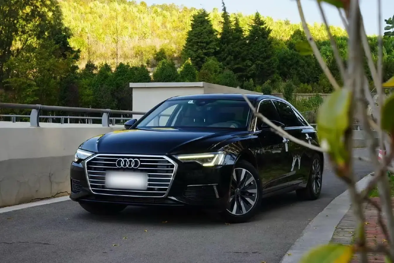 2019 Audi A6L 2.0T 224HP L4 7DCT