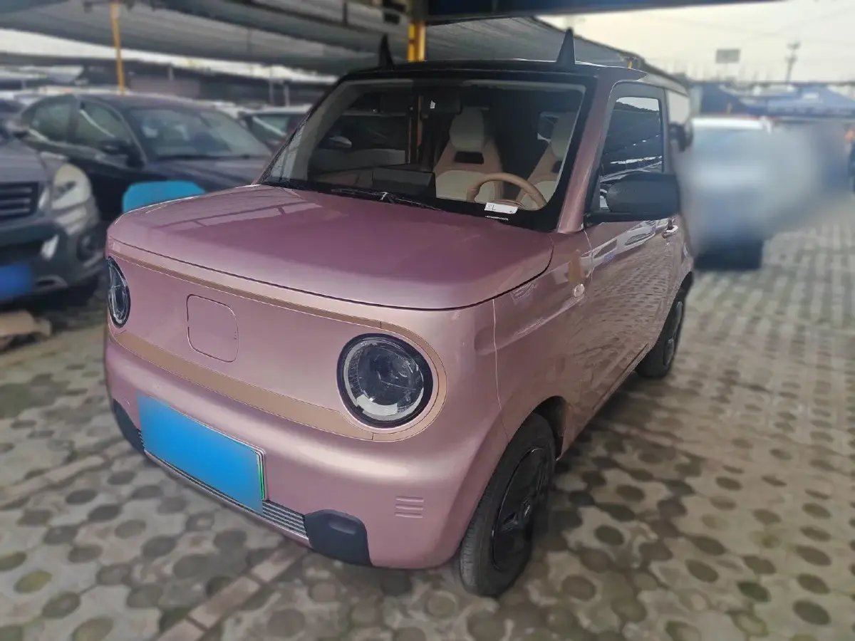 2023 Geely Panda BEV 17.03KWH