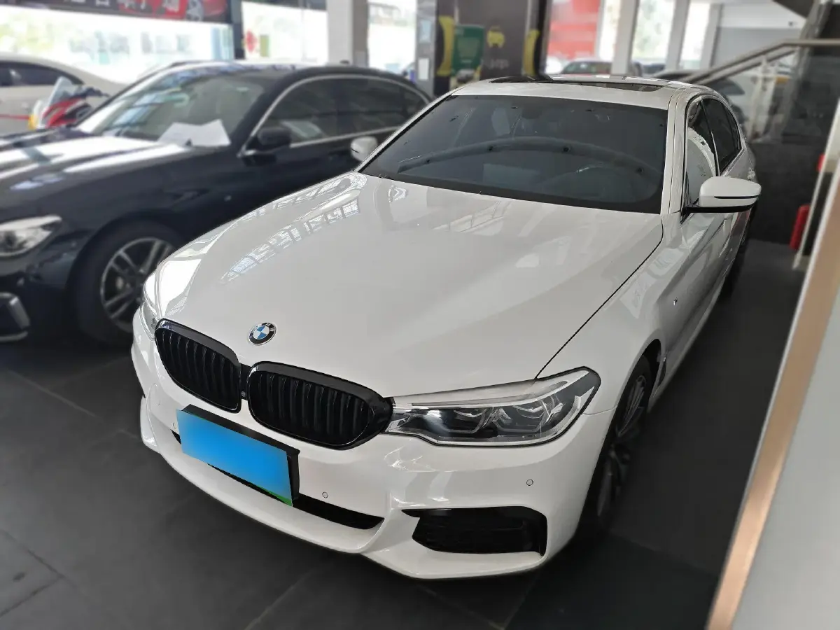 2020 BMW 5 Series 2.0T 252HP L4 8AT