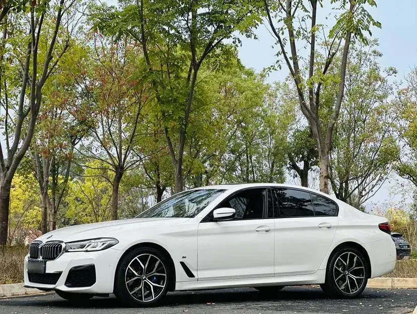 2022 BMW 5 Series 2.0T 252HP L4 8AT