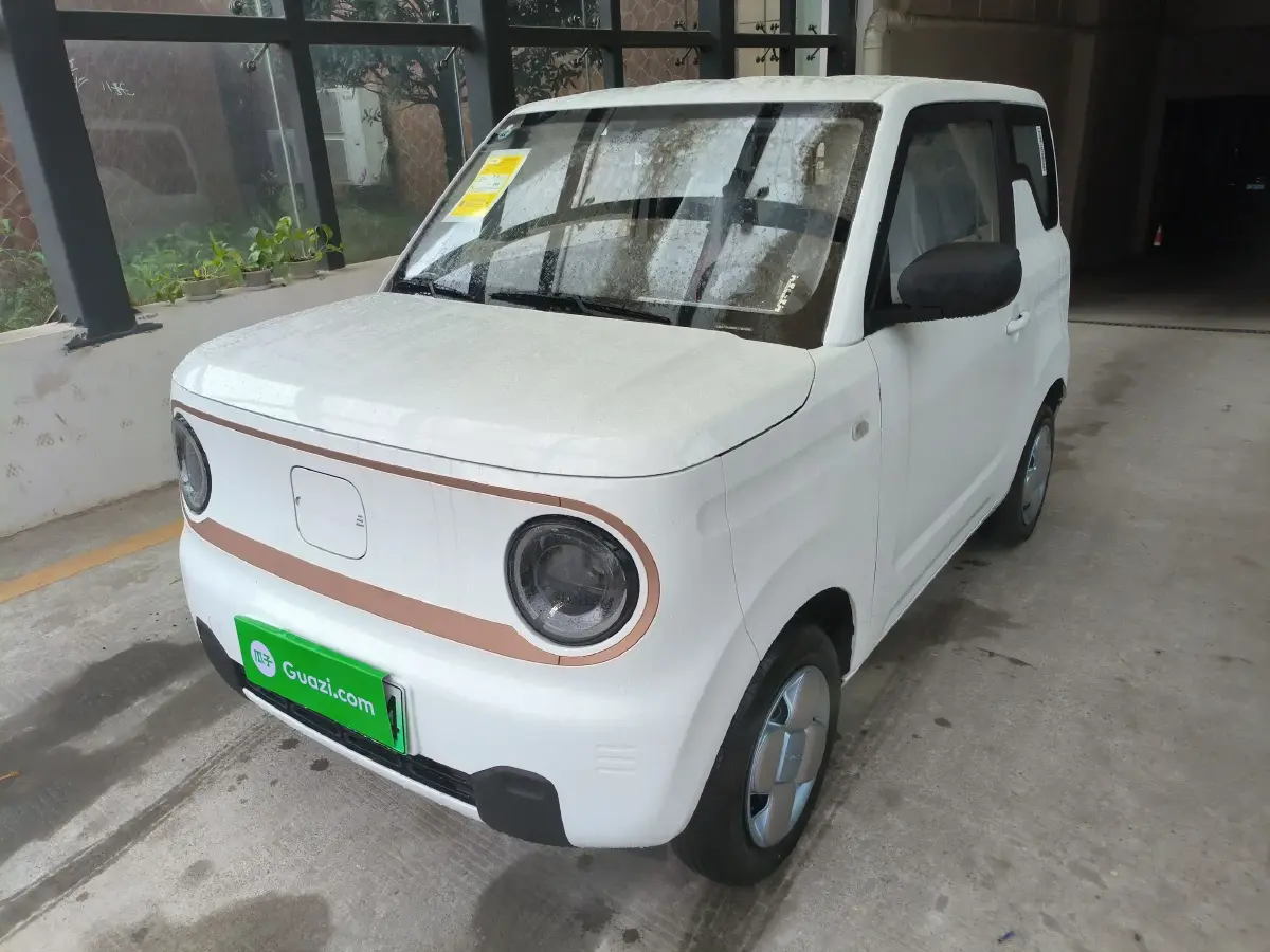 2024 Geely Panda BEV 17.03KWH
