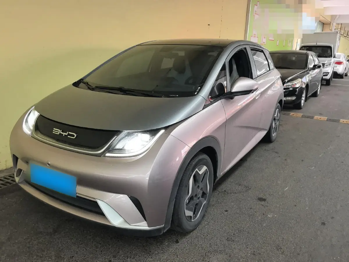 2021 BYD Dolphin BEV 44.9KWH