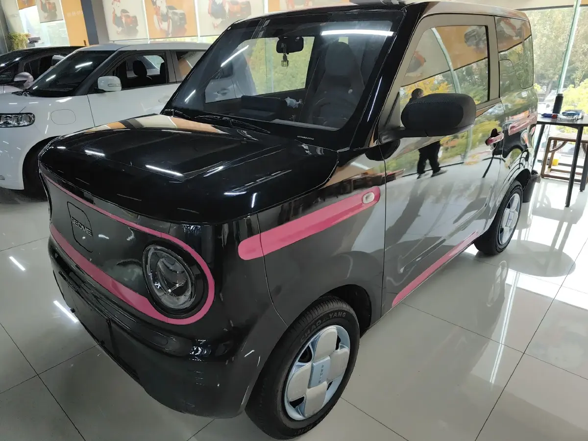 2023 Geely Panda BEV 17.03KWH