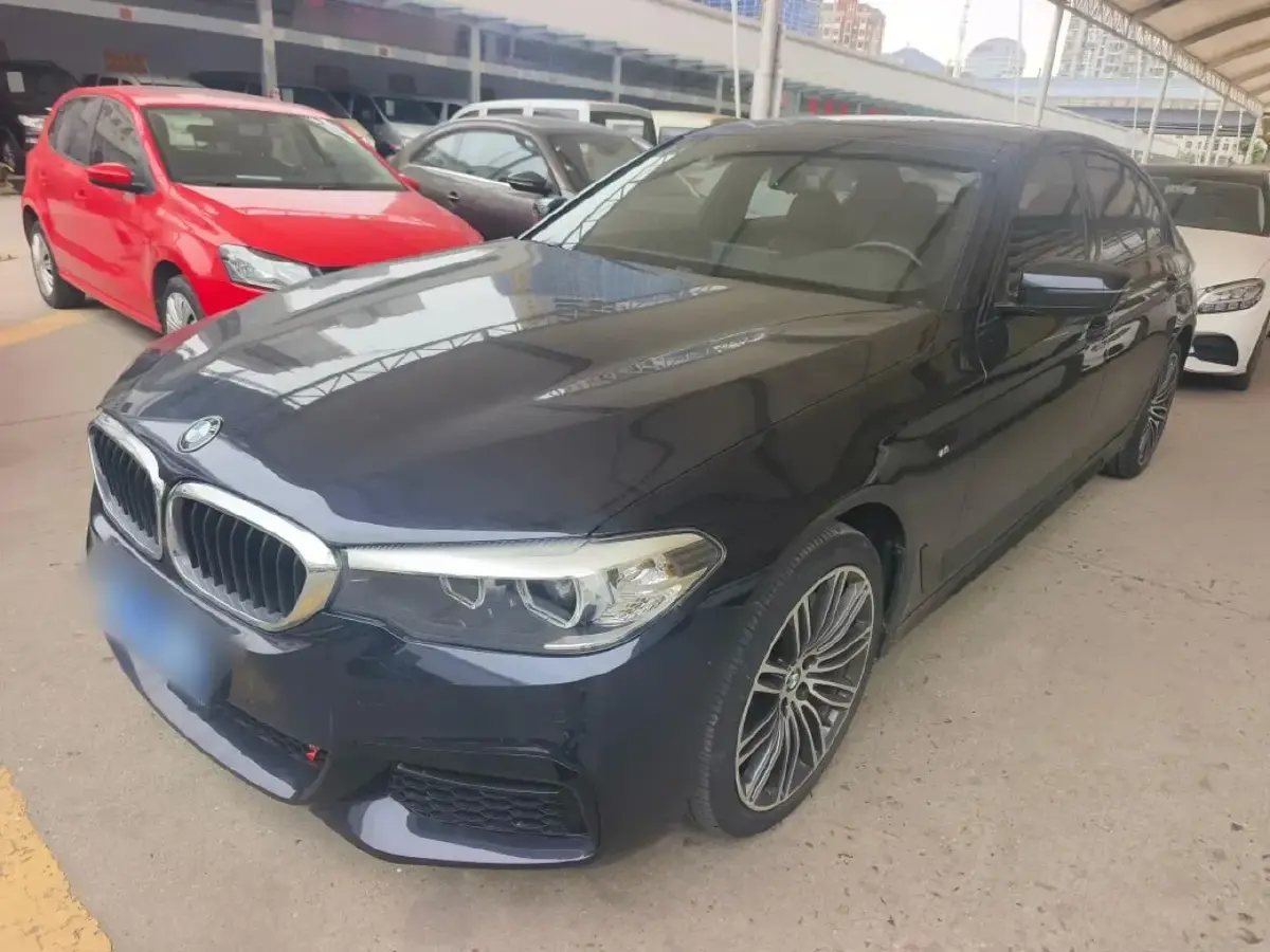 2019 BMW 5 Series 2.0T 252HP L4 8AT