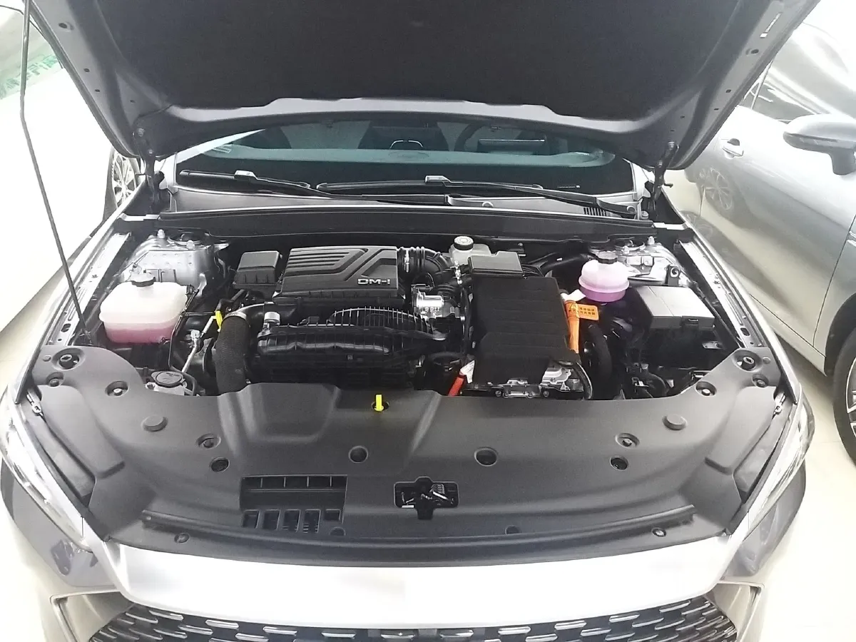 2024 BYD Qin Plus 1.5L 110HP L4 E-CVT PHEV 8.32KWH,autocango,china used car exporter,china ev exporter,chinese used car exporter,chinese used ev exporter