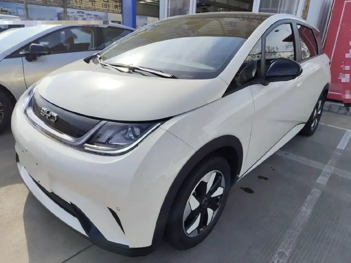 2025 BYD Dolphin BEV 44.928KWH
