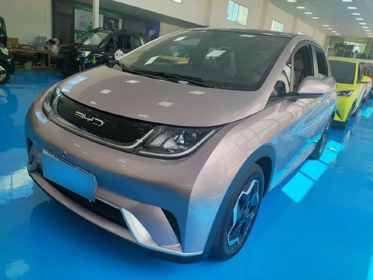 2021 BYD Dolphin BEV 44.9KWH