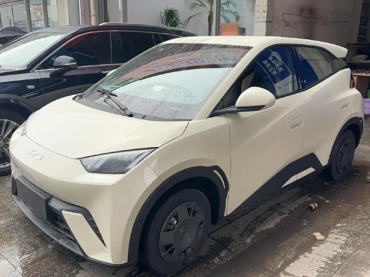 2025 BYD Seagull BEV 30.08KWH
