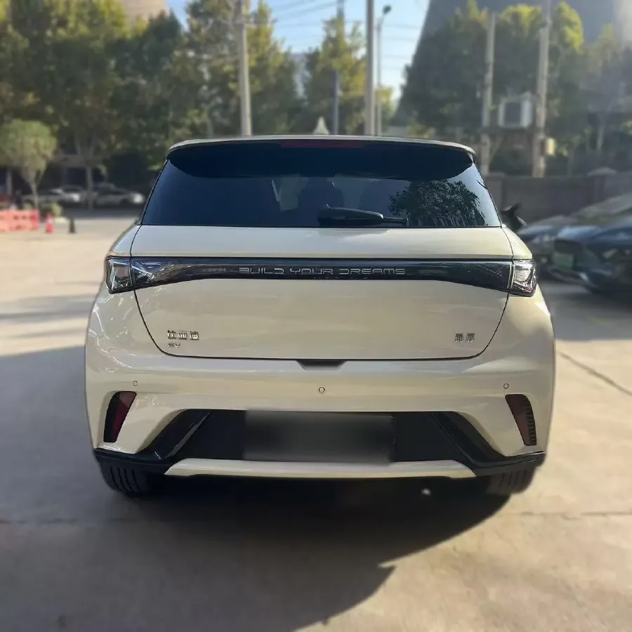 2025 BYD Dolphin BEV 44.928KWH,autocango,china used car exporter,china ev exporter,chinese used car exporter,chinese used ev exporter