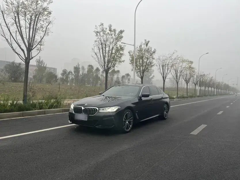 2021 BMW 5 Series 2.0T 252HP L4 8AT