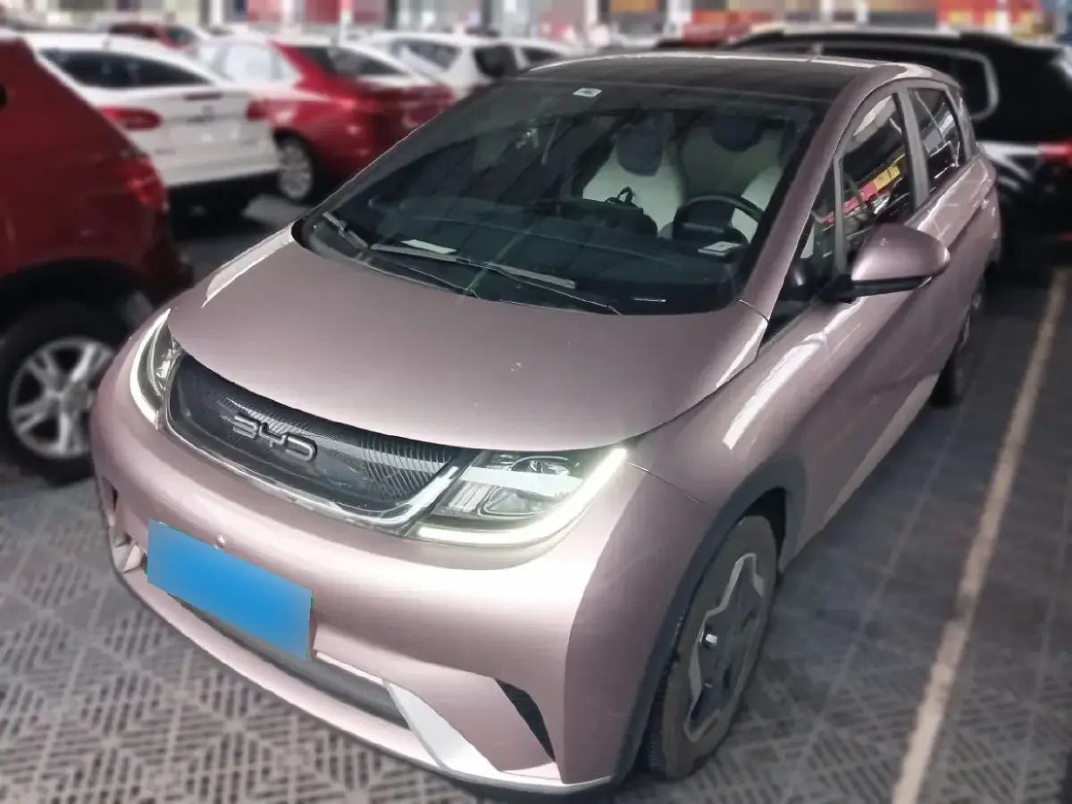 2021 BYD Dolphin BEV 44.9KWH