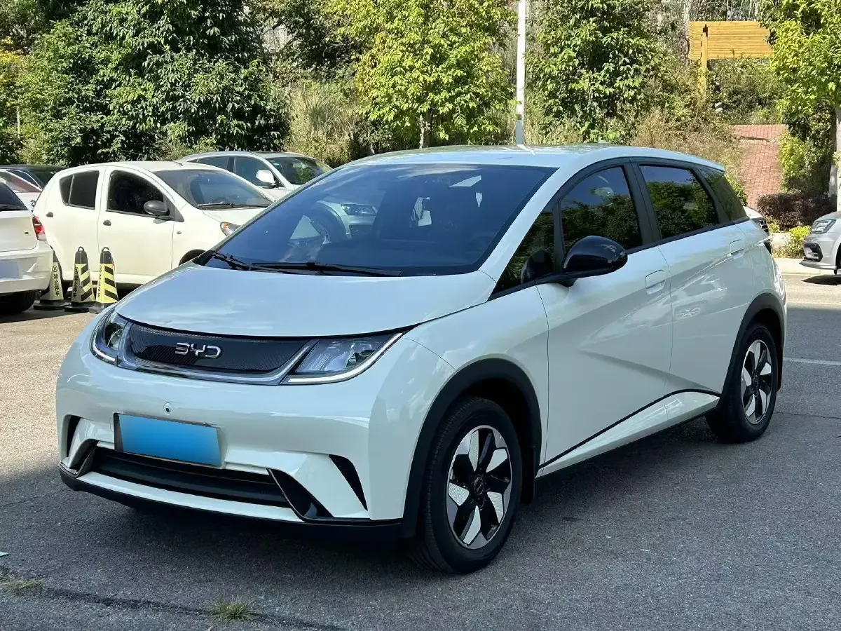 2025 BYD Dolphin BEV 44.928KWH