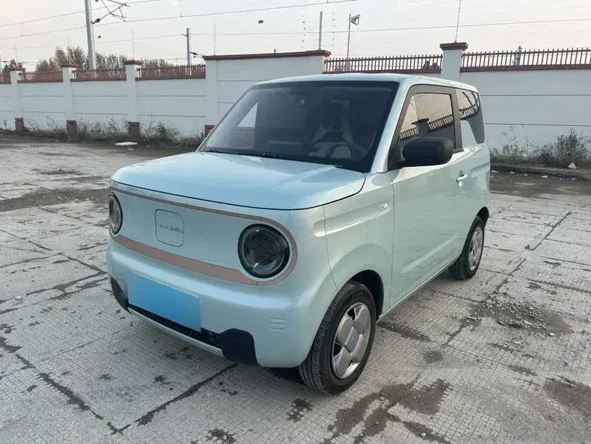 2024 Geely Panda BEV 17.03KWH