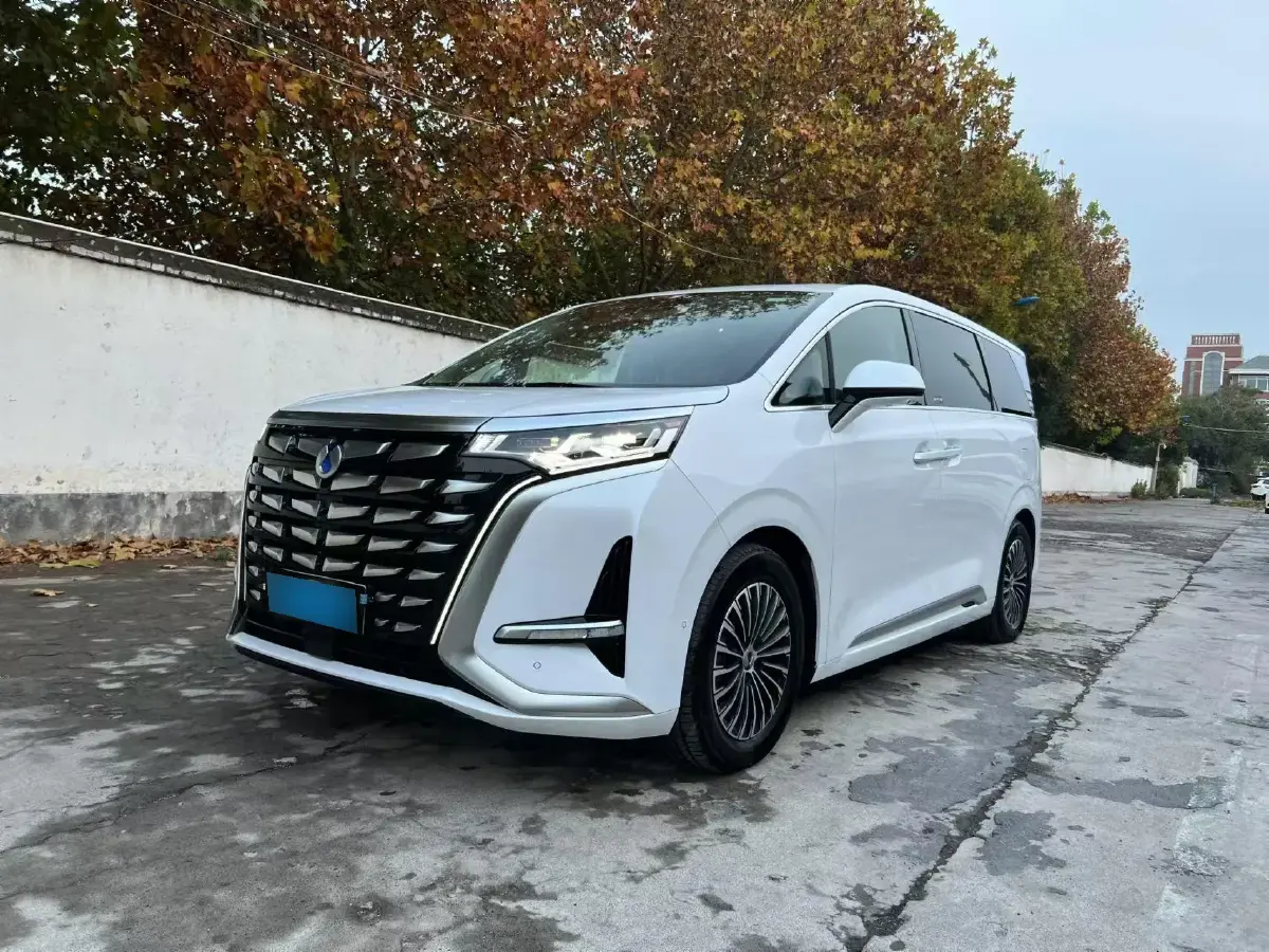 2022 Denza D9 1.5T 139HP L4 E-CVT PHEV 40.06KWH