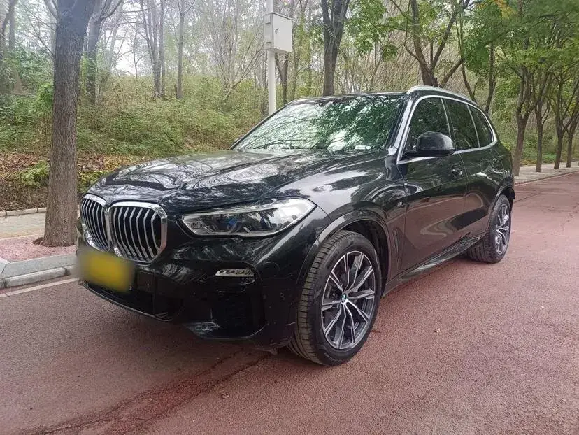 2019 BMW X5 3.0T 340HP L6 8AT
