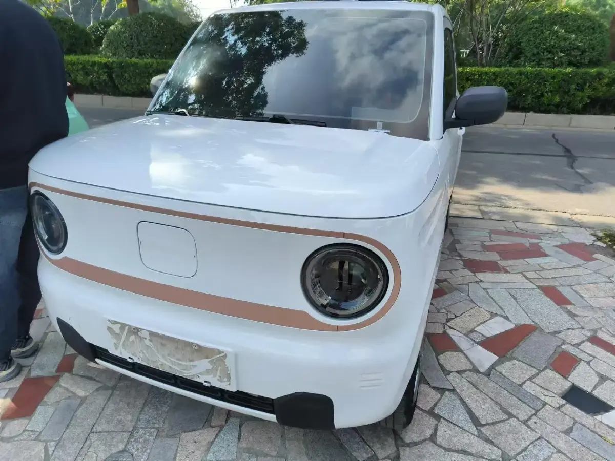 2023 Geely Panda BEV 17.03KWH