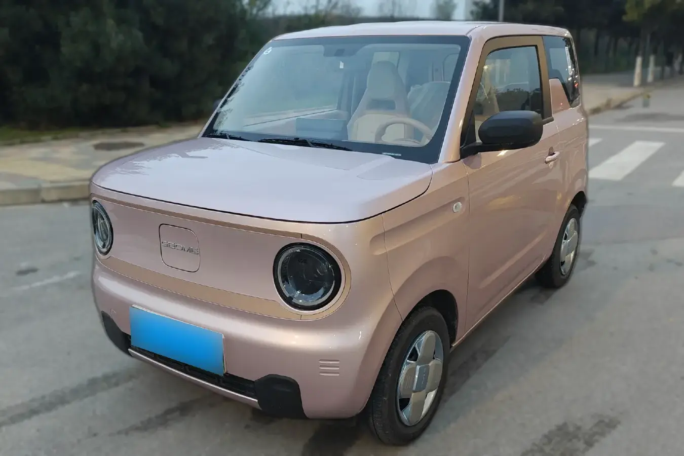 2024 Geely Panda BEV 17.03KWH