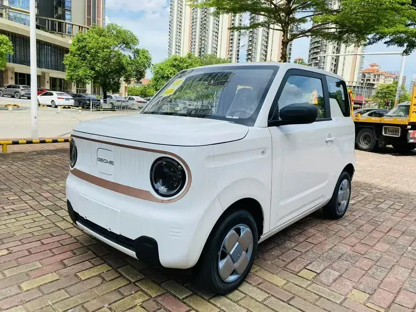 2024 Geely Panda BEV 17.03KWH