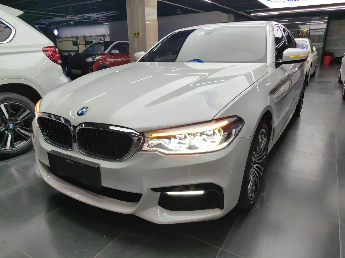 2019 BMW 5 Series 2.0T 252HP L4 8AT