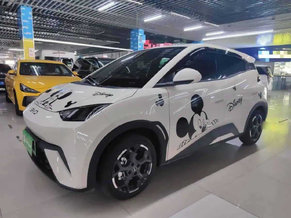 2025 BYD Seagull BEV 30.08KWH