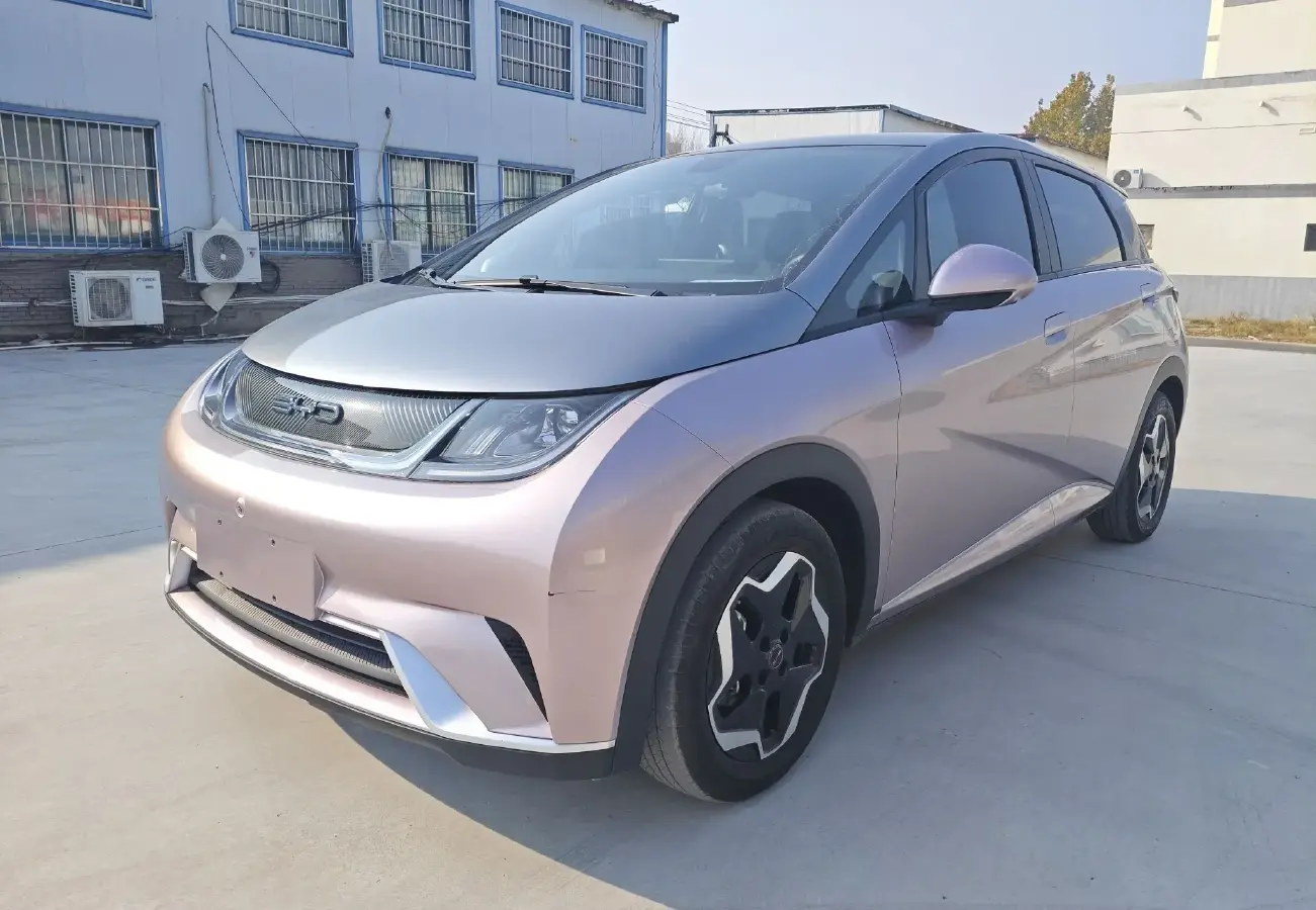 2021 BYD Dolphin BEV 44.9KWH