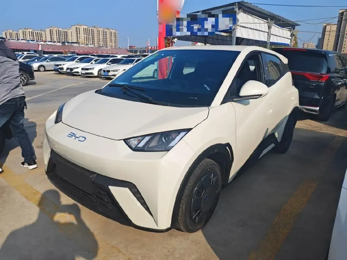 2025 BYD Seagull BEV 30.08KWH