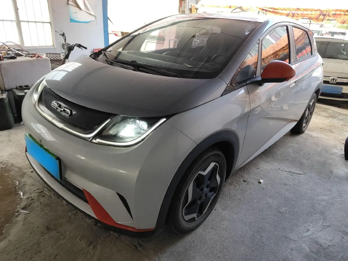 2021 BYD Dolphin BEV 44.9KWH