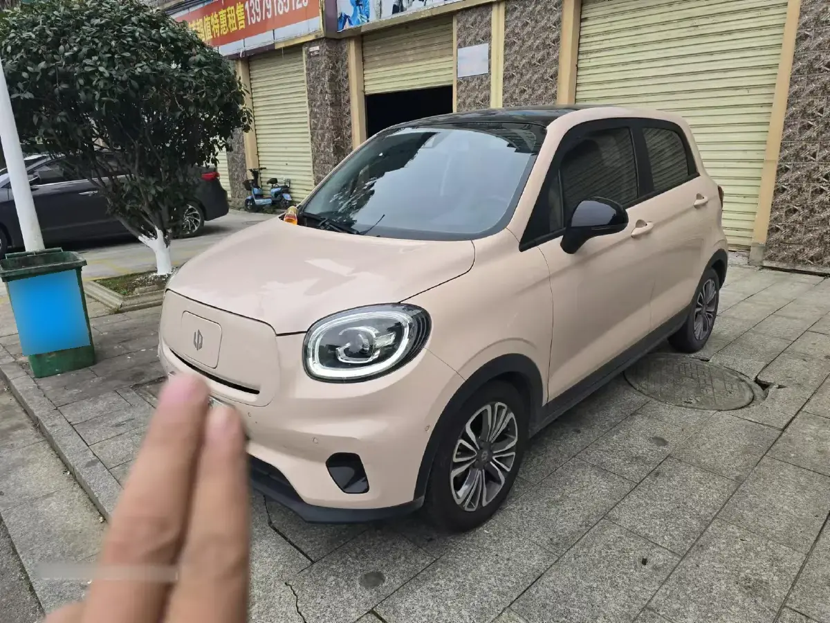 2021 Leapmotor T03 BEV 38KWH