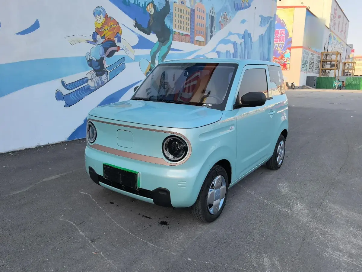 2024 Geely Panda BEV 17.03KWH