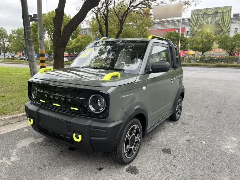 2025 Geely Panda BEV 17.03KWH