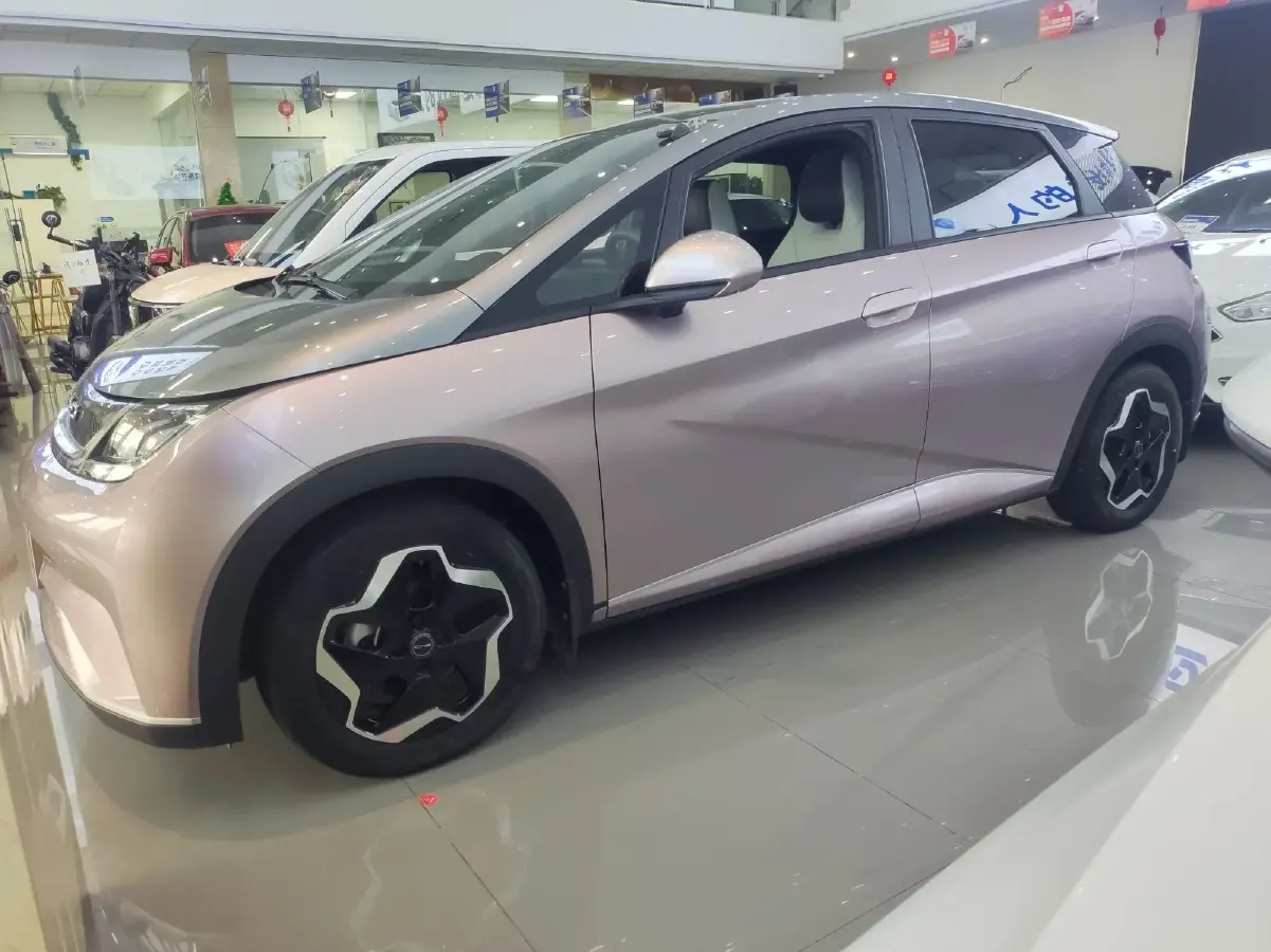 2021 BYD Dolphin BEV 44.9KWH